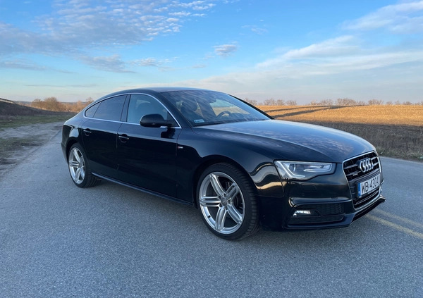 Audi A5 cena 79950 przebieg: 159980, rok produkcji 2013 z Świebodzin małe 232